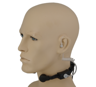 330px-TTT-HEAD.png