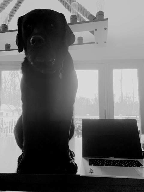 33974964-C685-401C-A792-13737D0E8857.jpeg