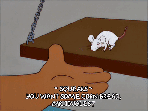 339c8505-526a-43a8-a4fa-1dcfc95b1fd0.gif