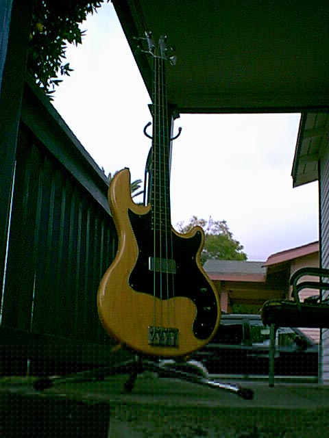 3415294b.jpg