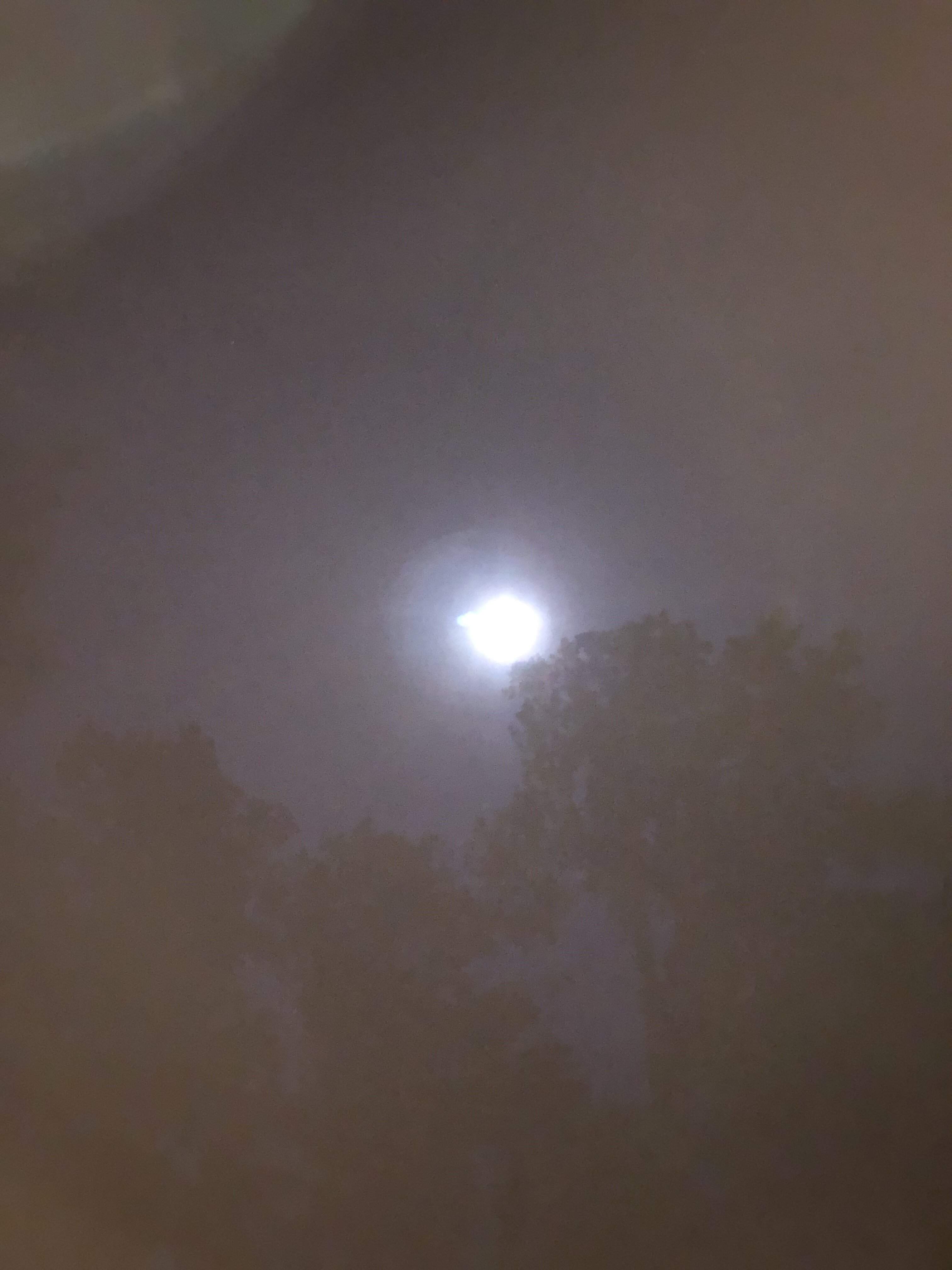 345610EF-9A29-4E14-8213-0A61E31105A7.jpeg