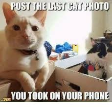 3487534E-F75E-4411-A306-D41E007A7E78.jpeg