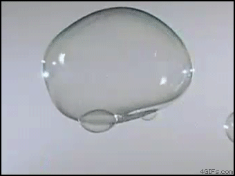 34D374BE-B4E6-40EC-8649-7F3C1D5FB3C2.gif
