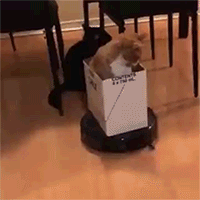 34lq2n-1565903896-4128.gif