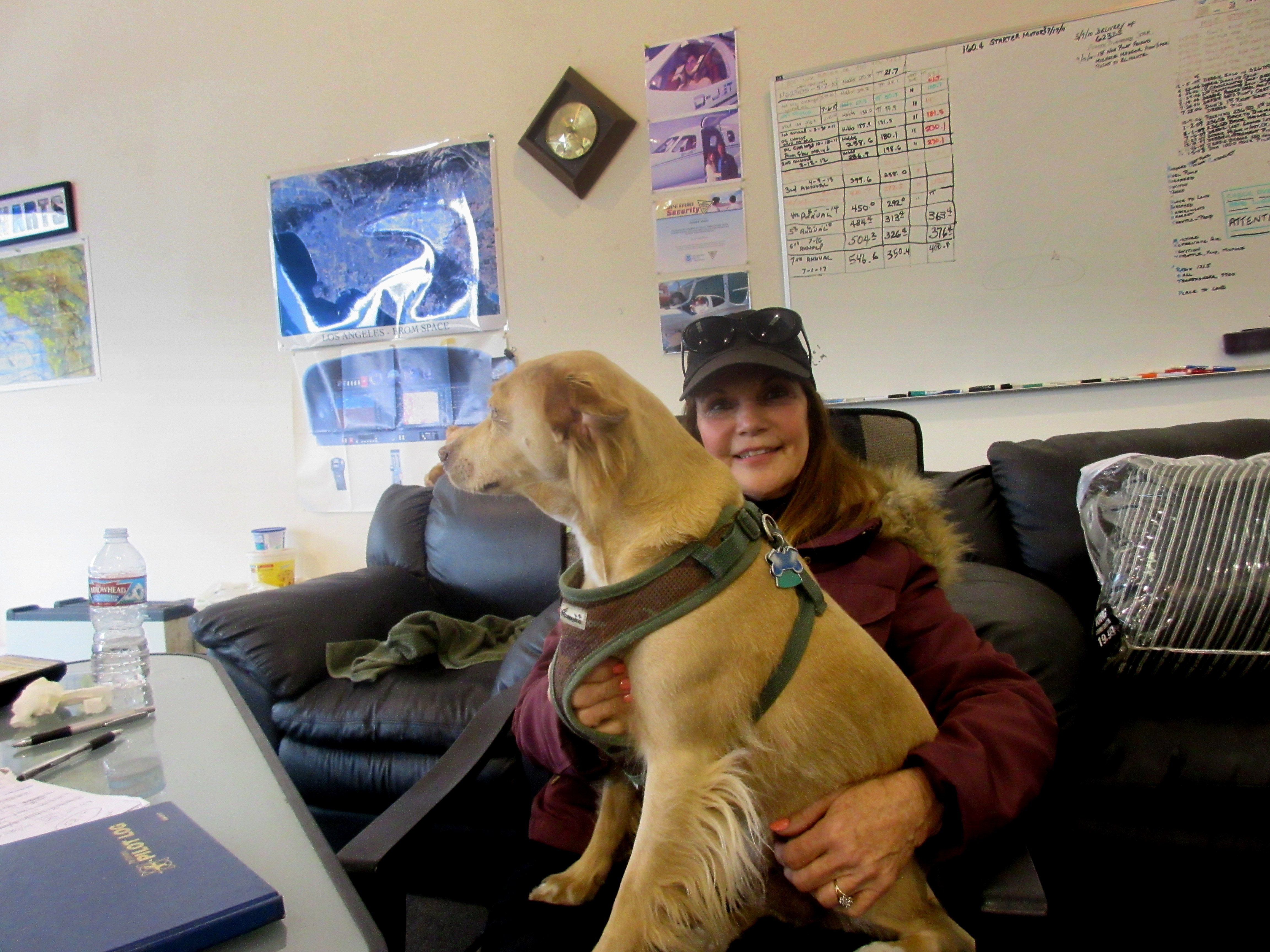 35 LBS LAP DOG.jpg