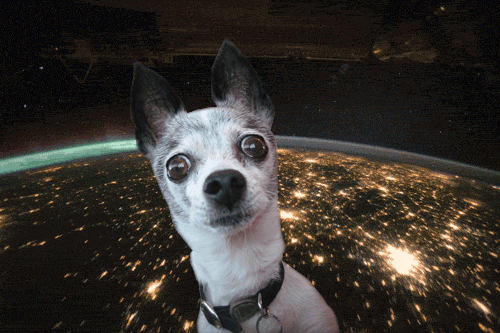 3537FCCB-E23F-4771-8F4A-507C1E2FC3F6.gif