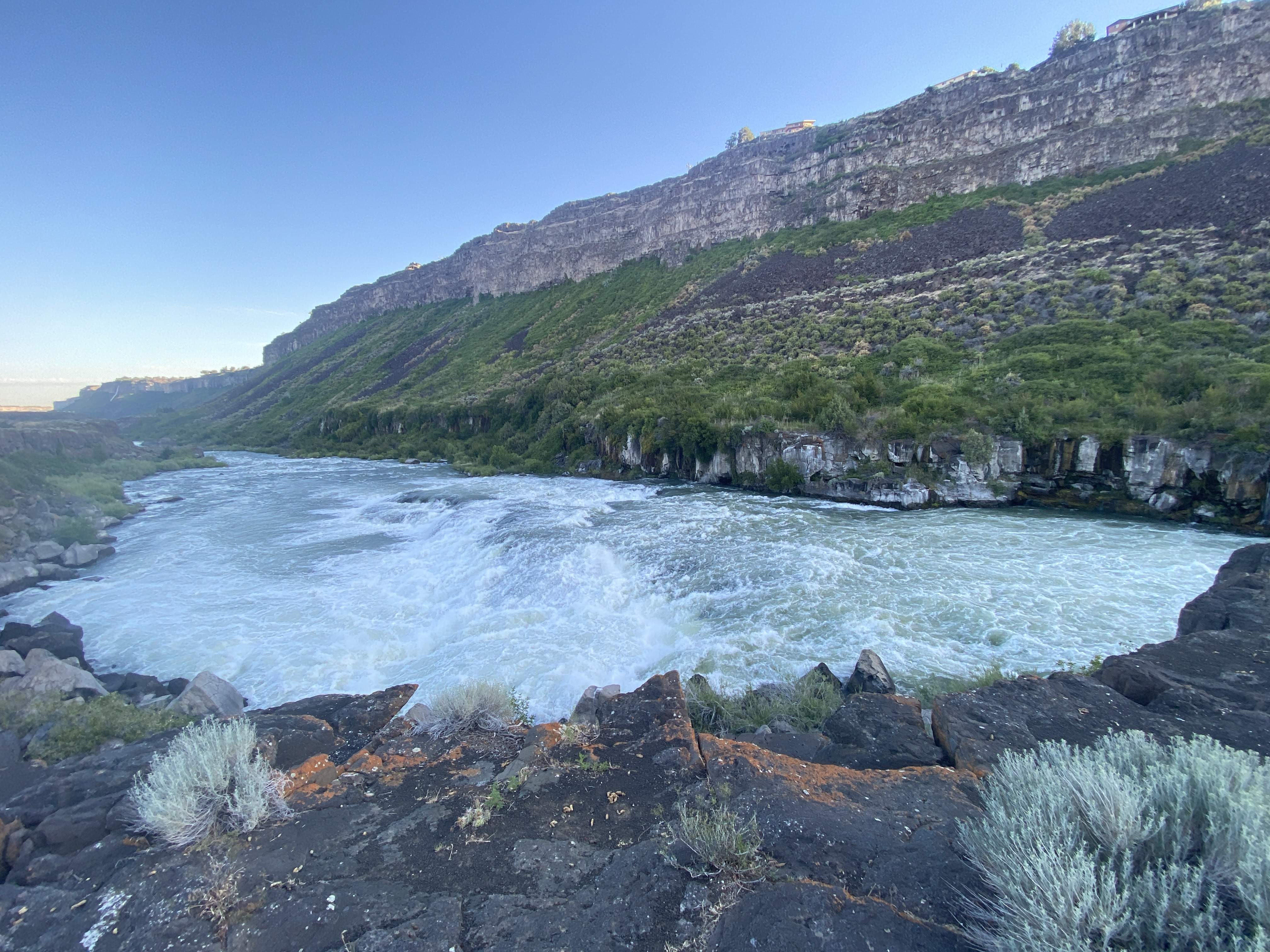 35456B74-C322-40E5-84B1-63CF7D137E88.jpeg