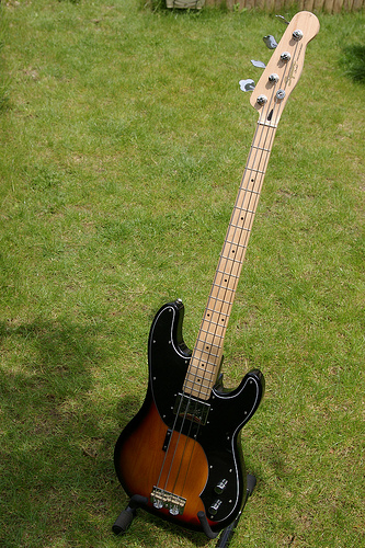 3550605253_abe405c5ef.jpg