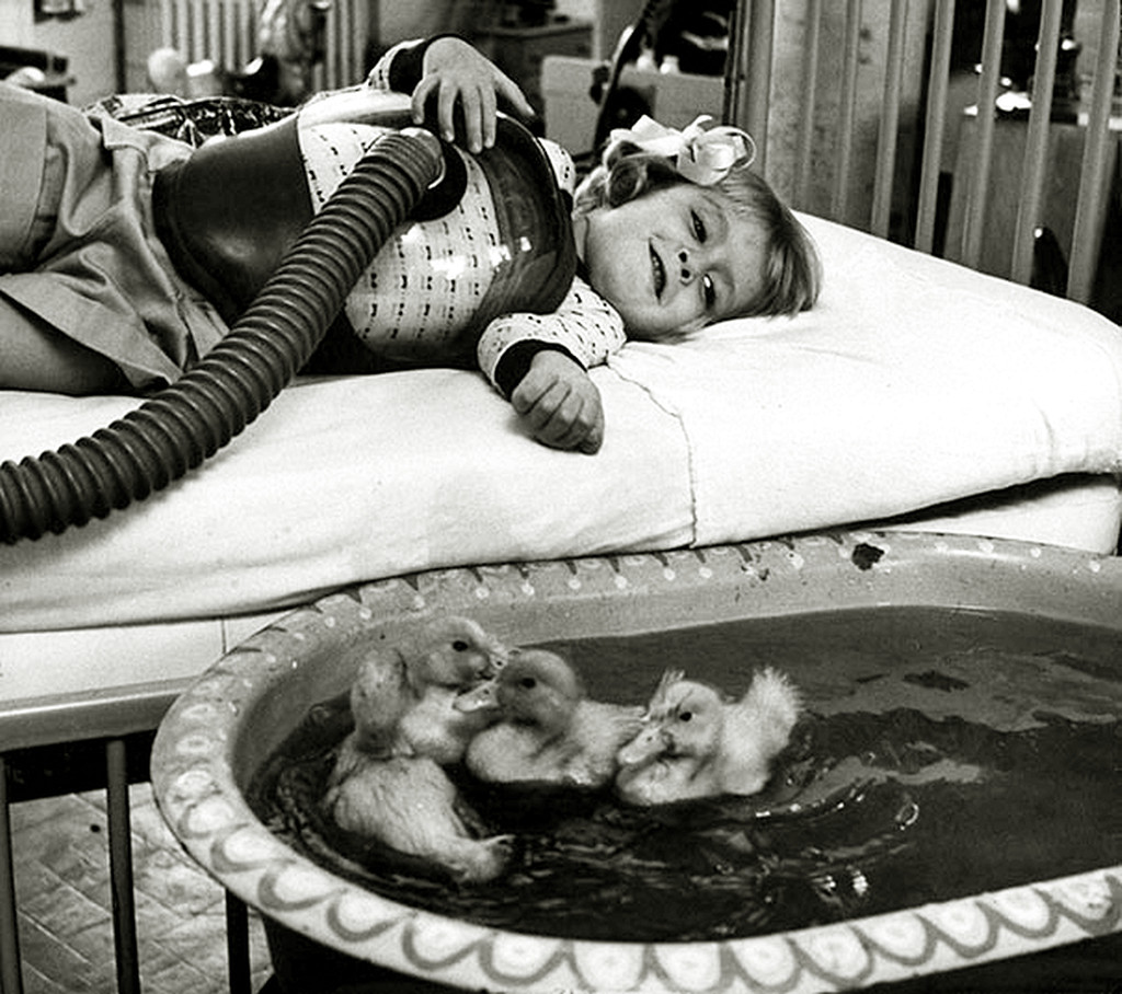 3573395duck_therapy2.jpg