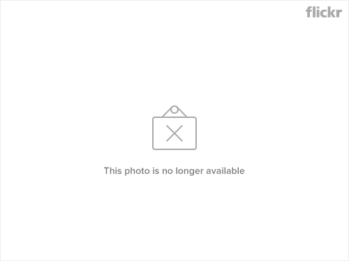 3576713031_8bbb25562a.png
