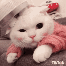 36E4FAB9-849A-46EB-A017-94403E999558.gif