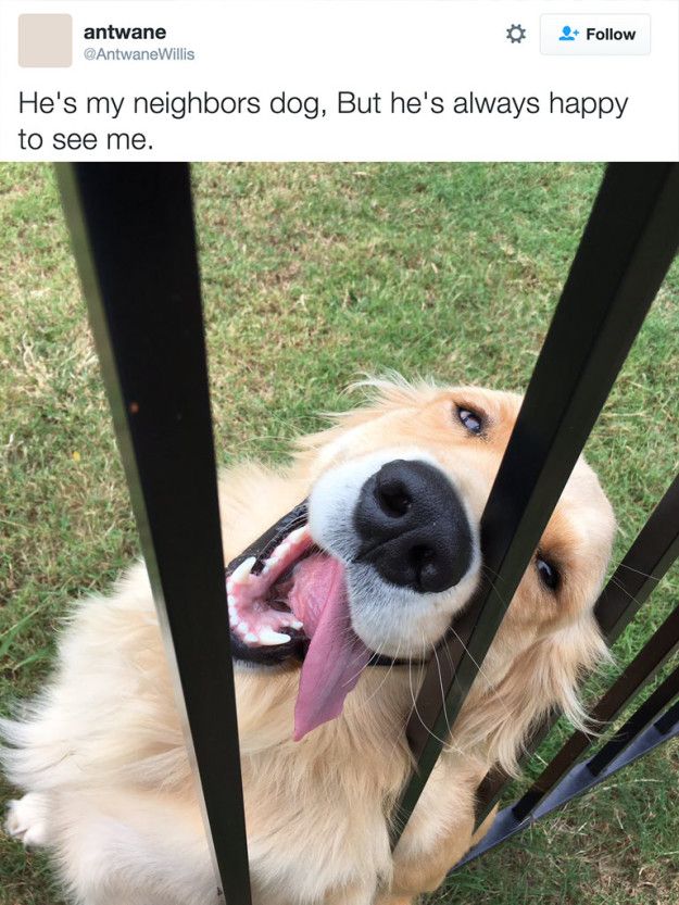 36F2E73A-0E08-4E1F-AA67-577BA582B051.jpeg