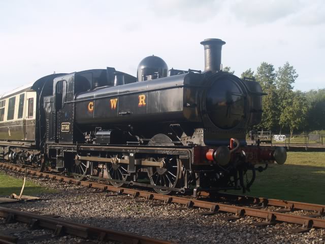 3738.jpg