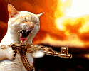 378414225_fa4f48e342_o.gif