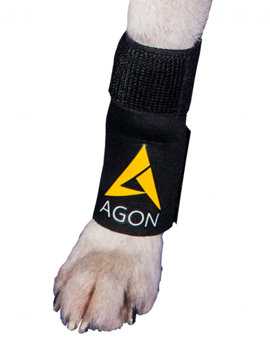 386-x-504-1.png