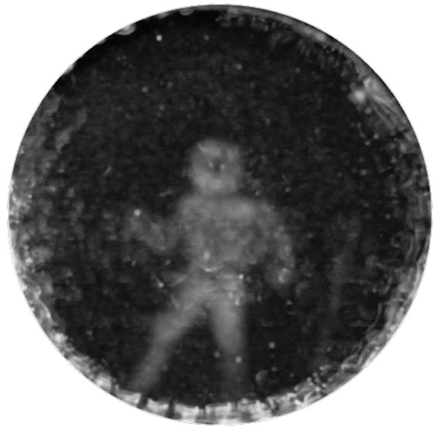 3965522dolphin_sonar.jpg