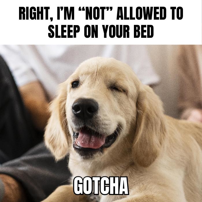 39D4C2F3-B59B-4192-B083-B3557CE4F563.jpeg