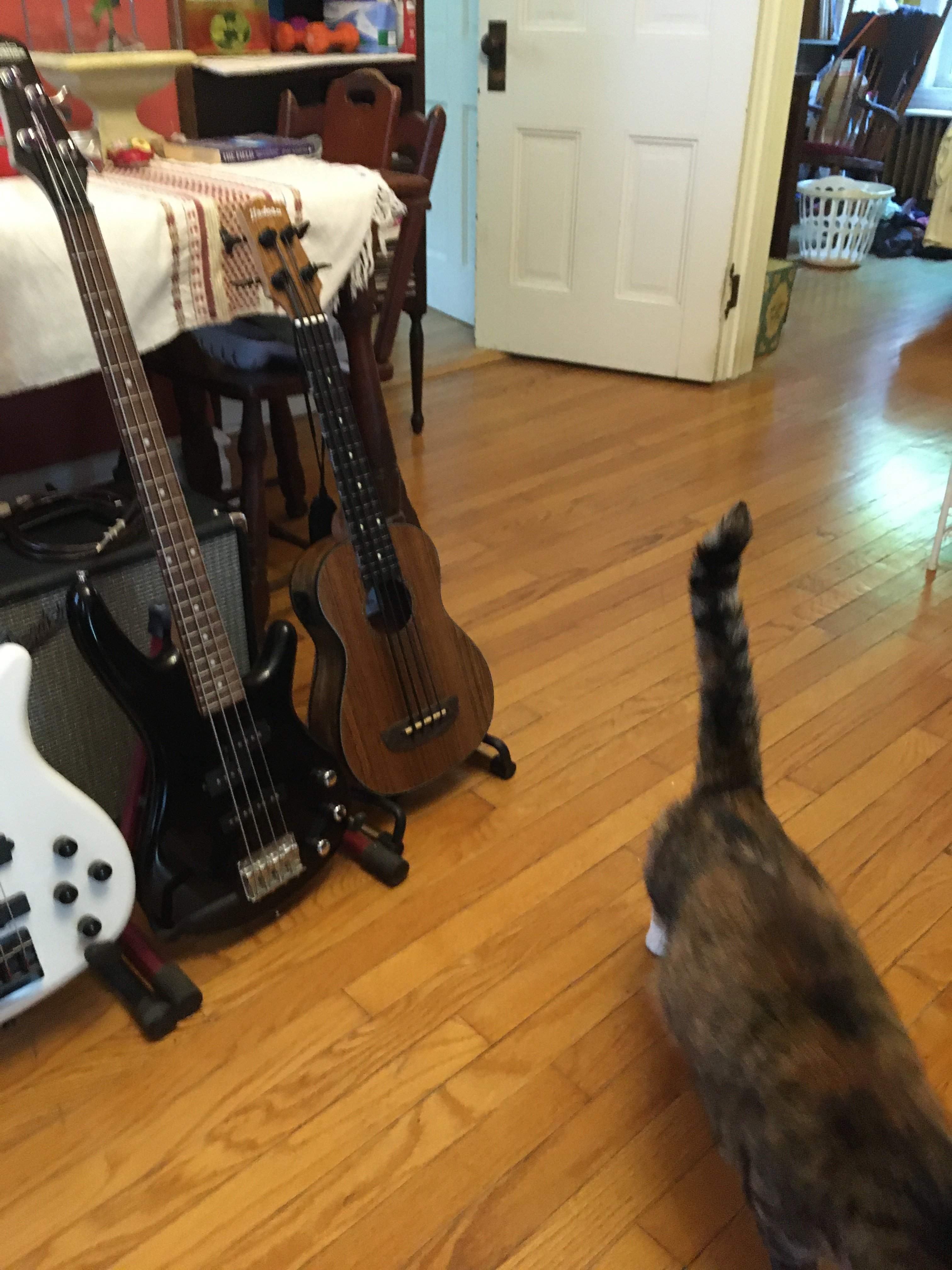 3_basses (4).jpg