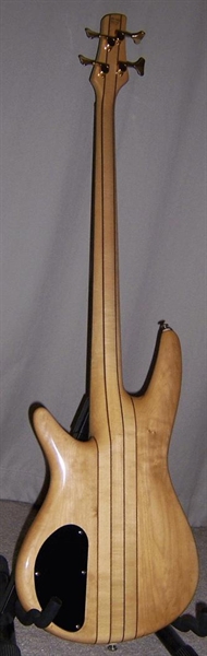 3_ibanezback.jpg