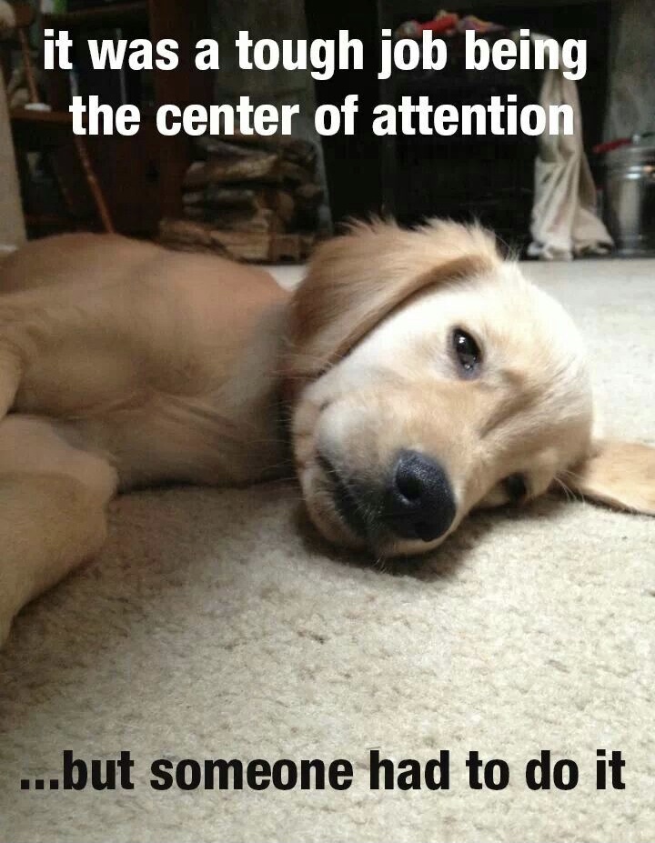 3A004D00-0B2E-4240-B33C-924E875AA515.jpeg