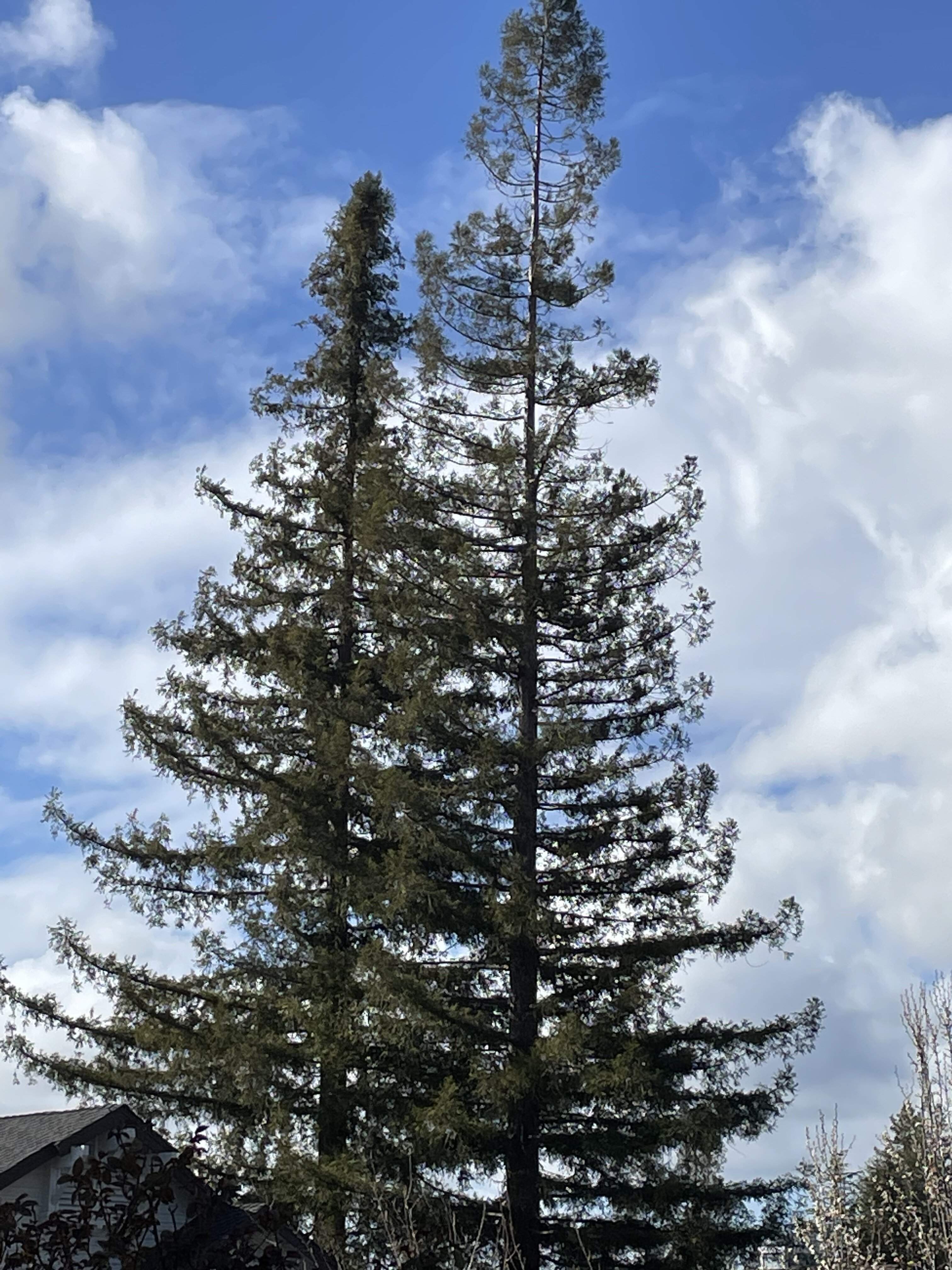 3A33E466-89C3-4006-AB31-D33DAE761C8F.jpeg