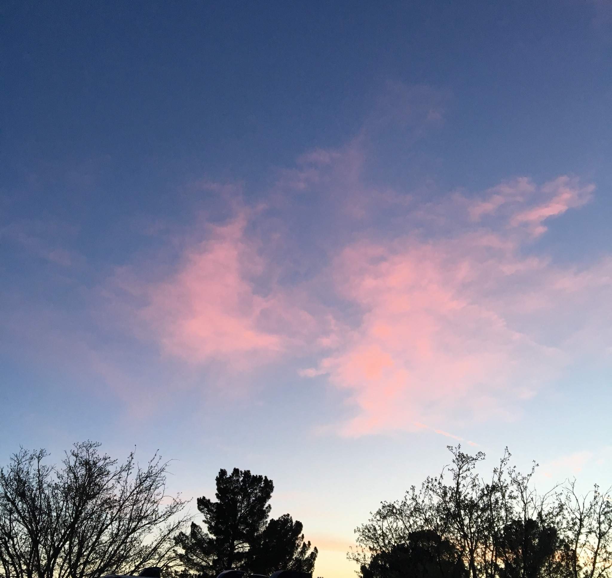 3B32147C-ED89-484C-9092-2C2FA9A57BD8.jpeg