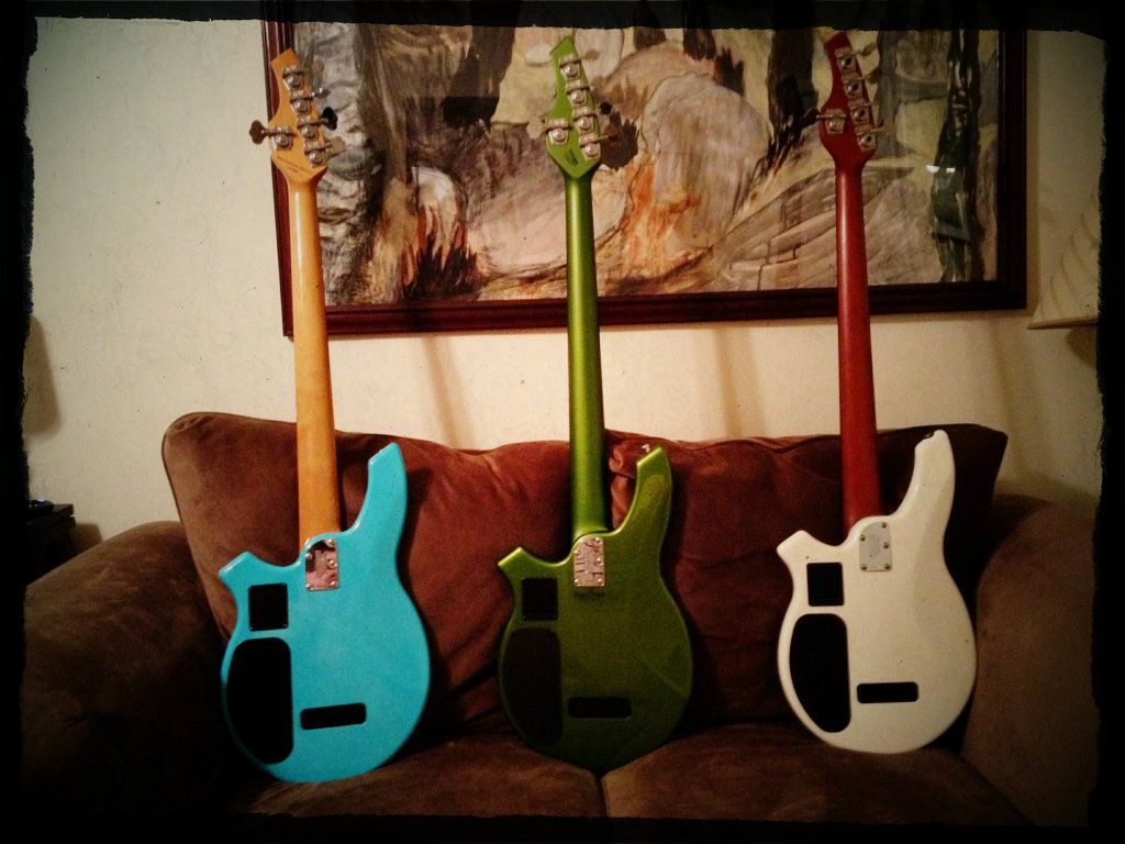 3BongoBacks2.jpg