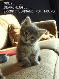 3C4A8F33-AAF9-42E8-B69A-55B8F116C5BD.jpeg