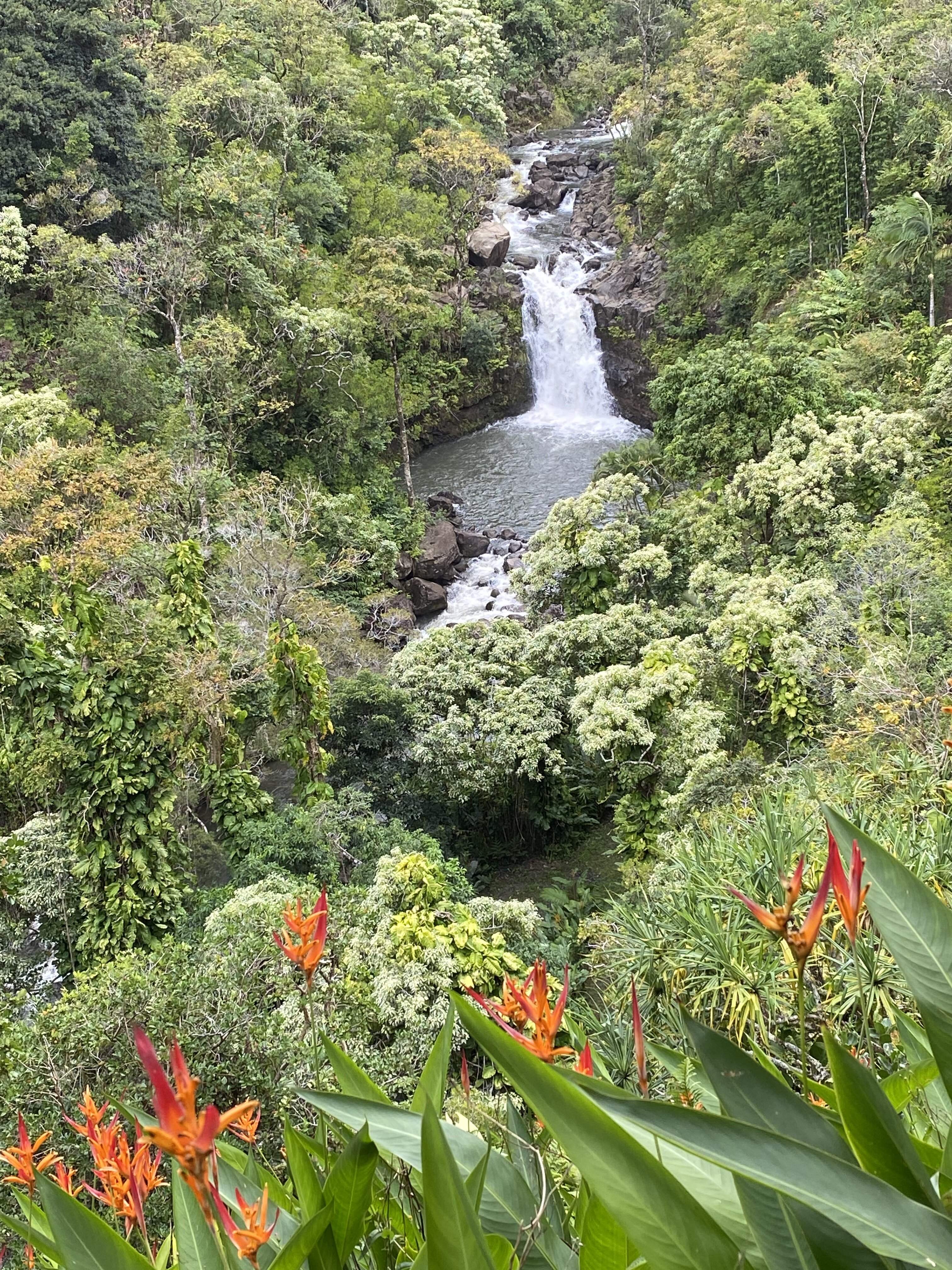 3C5A5EAE-0F2B-4536-B333-13D6B5CCC9C5.jpeg