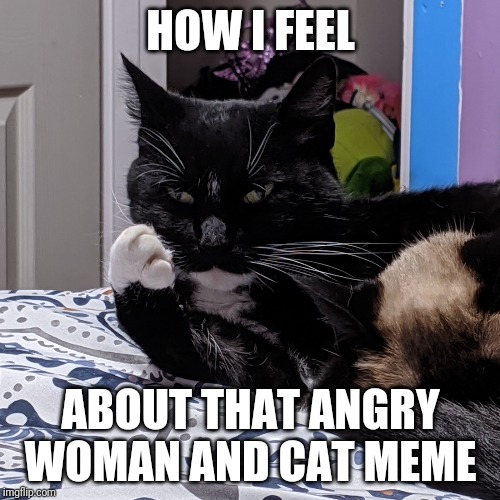 3C8D2ACF-2298-42B4-838D-52FAA3E8D4AB.jpeg