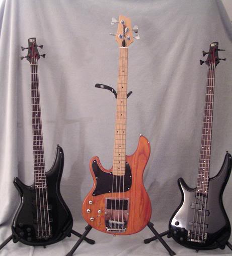 3Ibanezes04a.jpg
