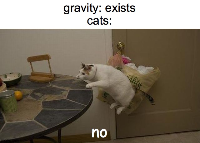 3y5owe-2271670408.jpeg