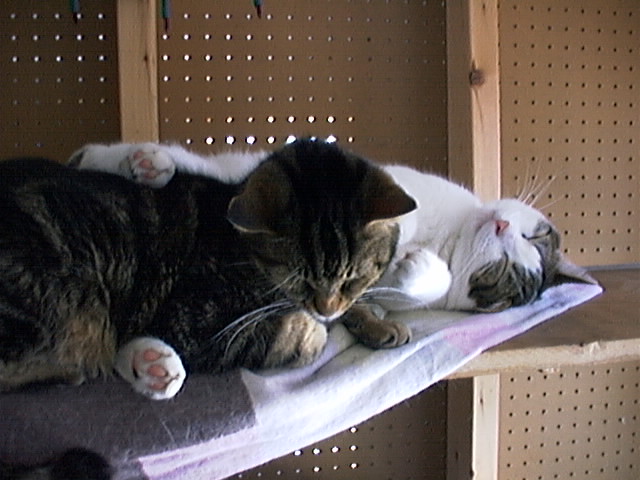 4-9-02011.jpg