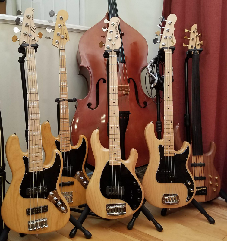 4 ash maple family small.png