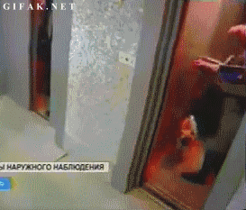 4.gif