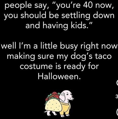 40 dog.jpg