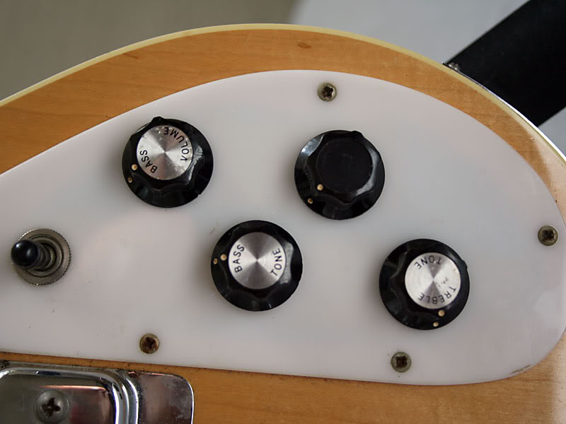 4001_pickguard.jpg