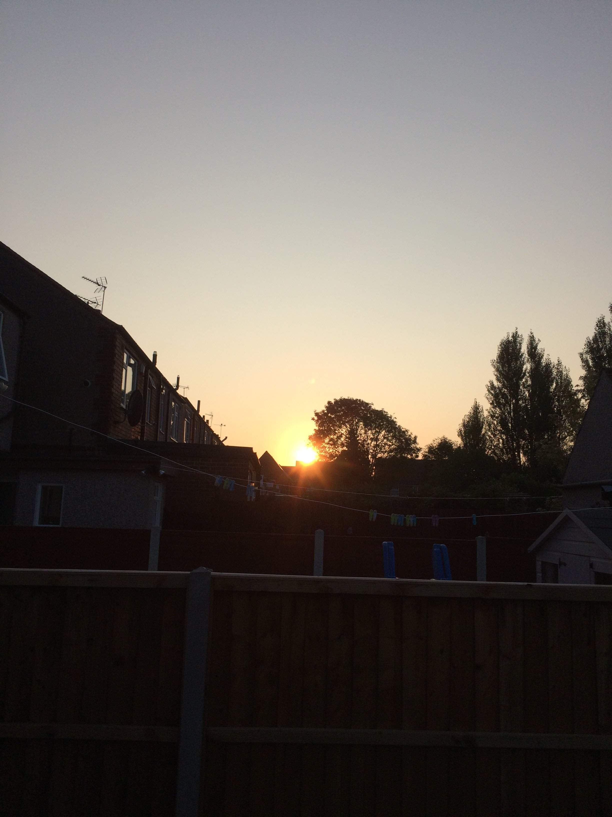 403651EA-84F0-423C-A240-80DE015EF576.jpeg