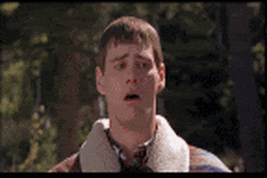 405B0F62-E187-483D-A3AF-35CCFEAE23DF.gif