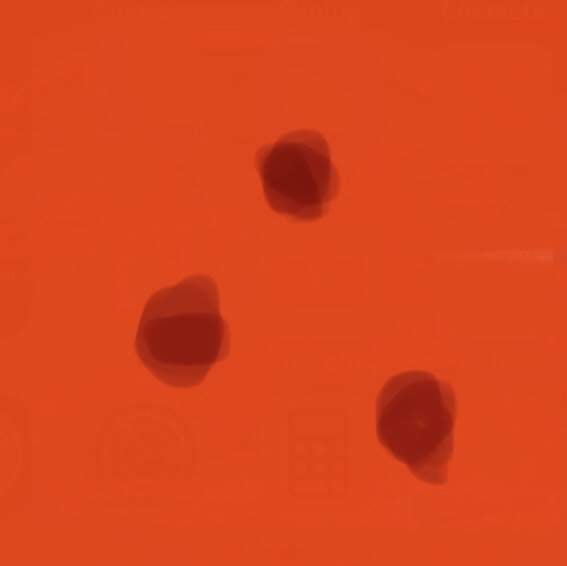 406E7DE9-239D-4619-9077-08EF8AB92C84.jpeg