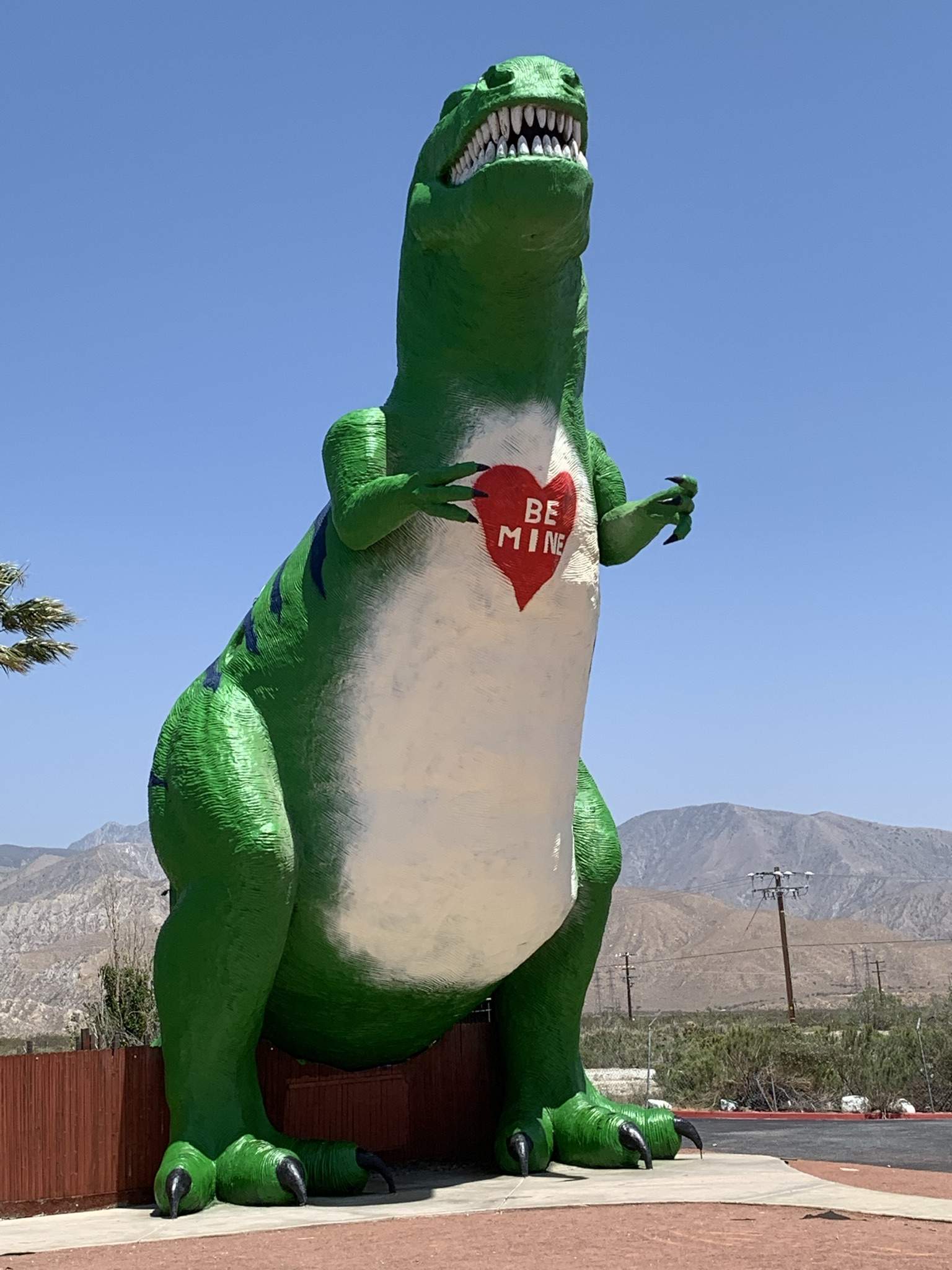 41048EE0-0547-47FA-AD6C-3154AAE64444.jpeg