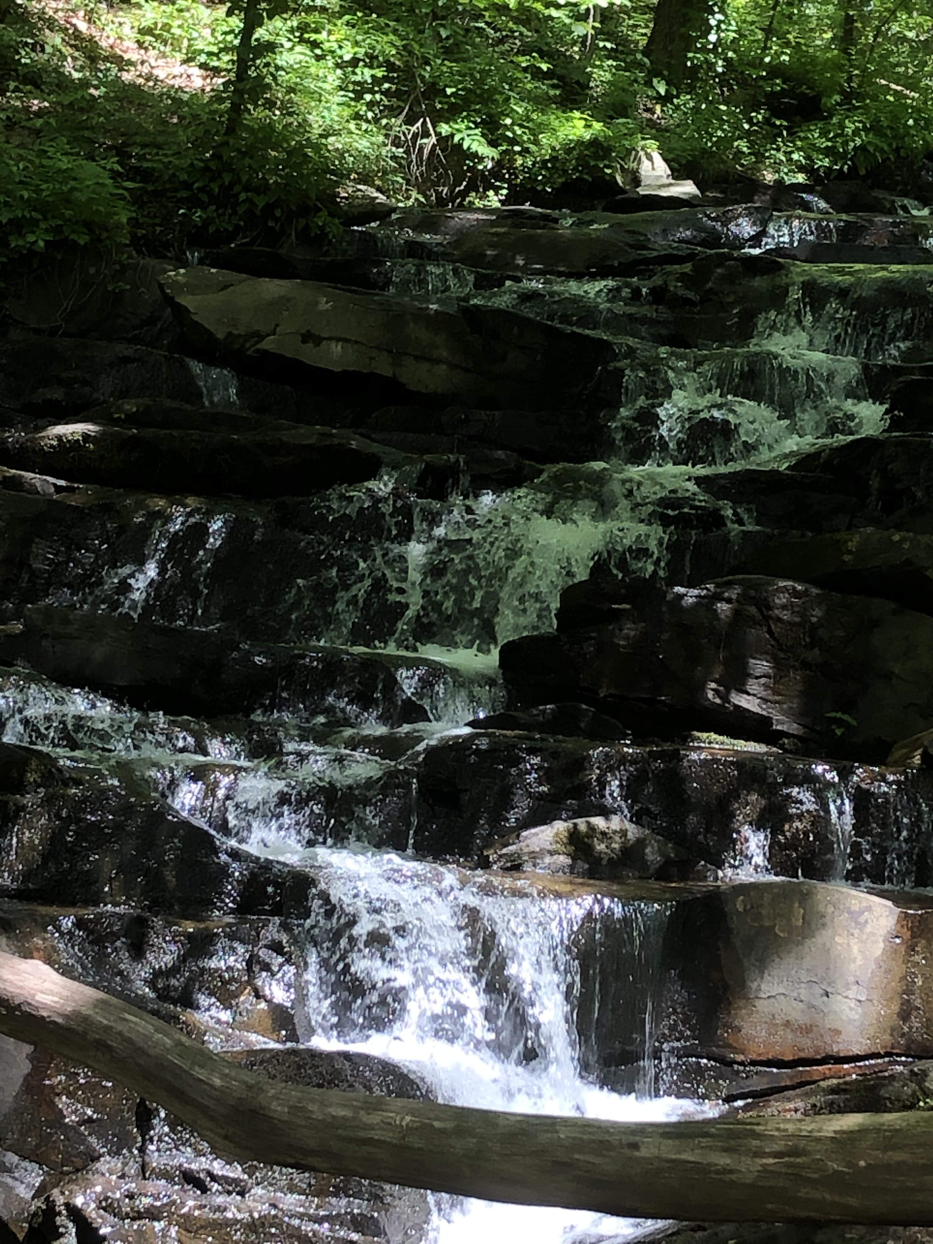 41280522-7BC5-49FD-B6DC-53BDFC530D7F.jpeg