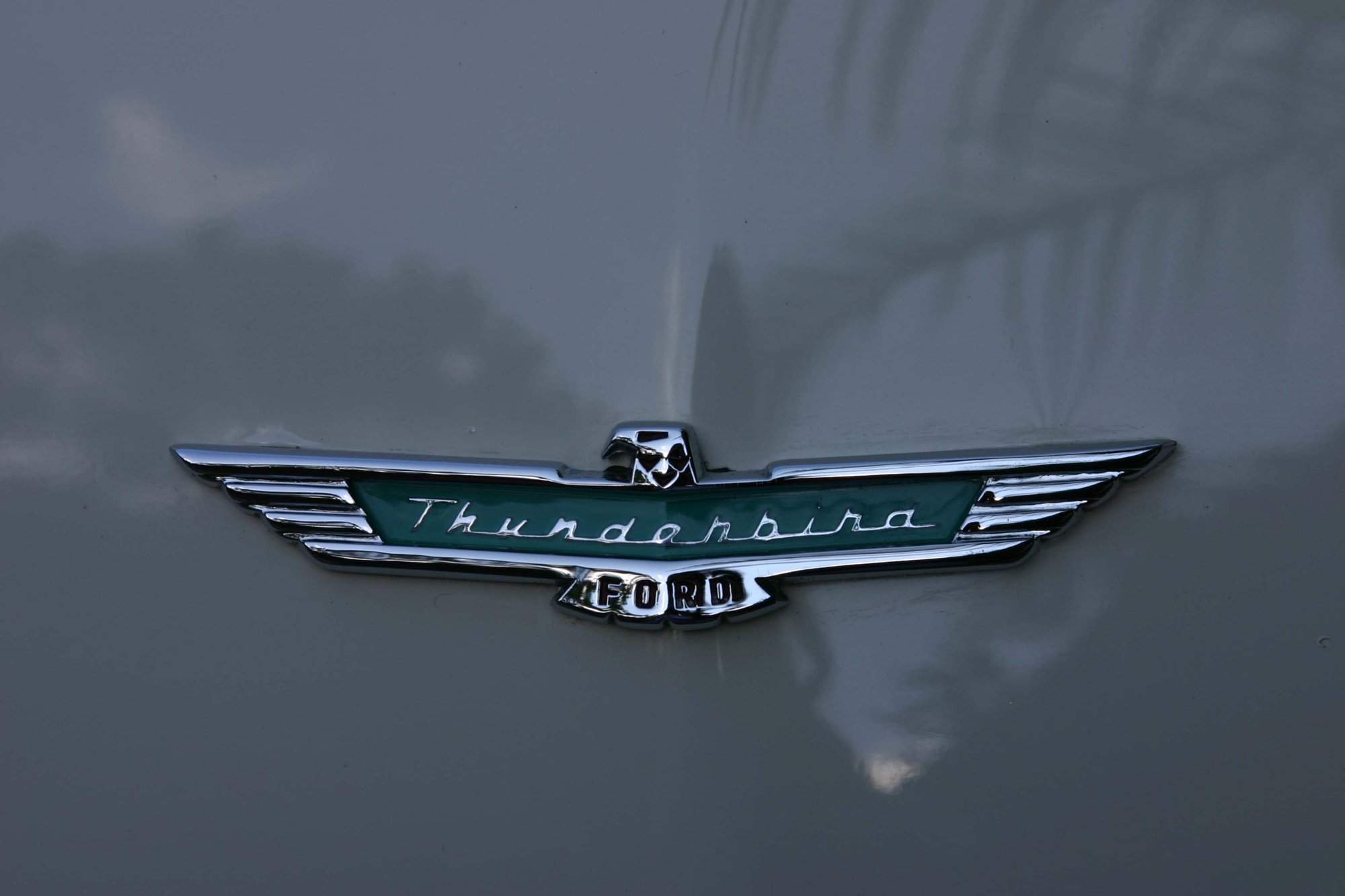 413144.jpg