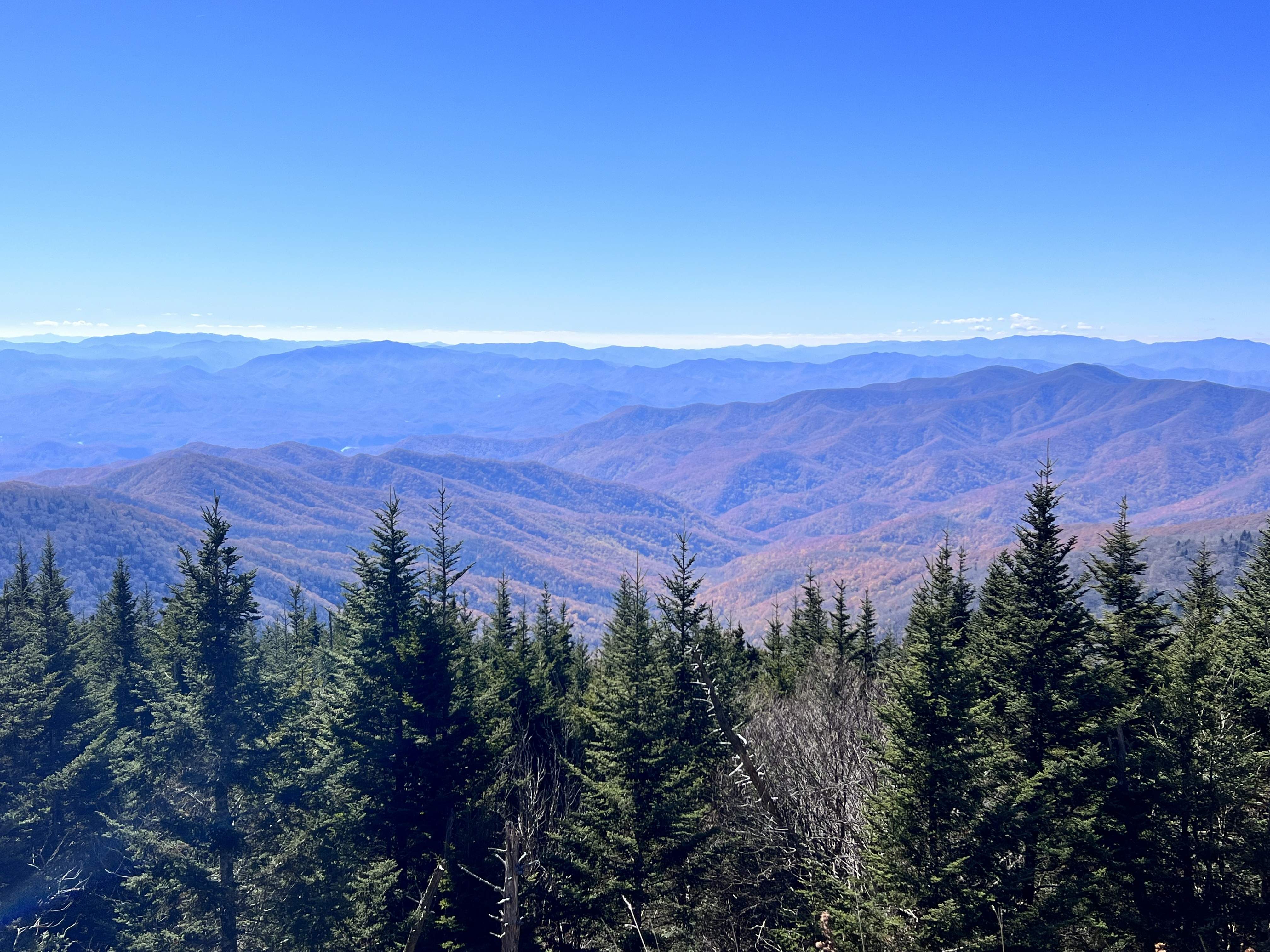 41F15196-18E9-47E9-B33D-32F35209C761.jpeg