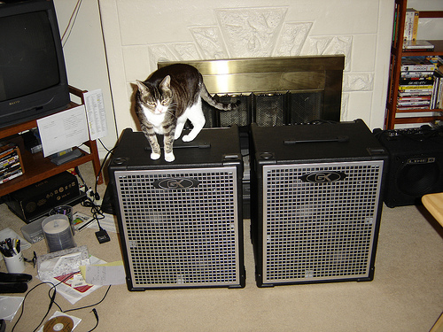 4200799585_d509bc67ba.jpg
