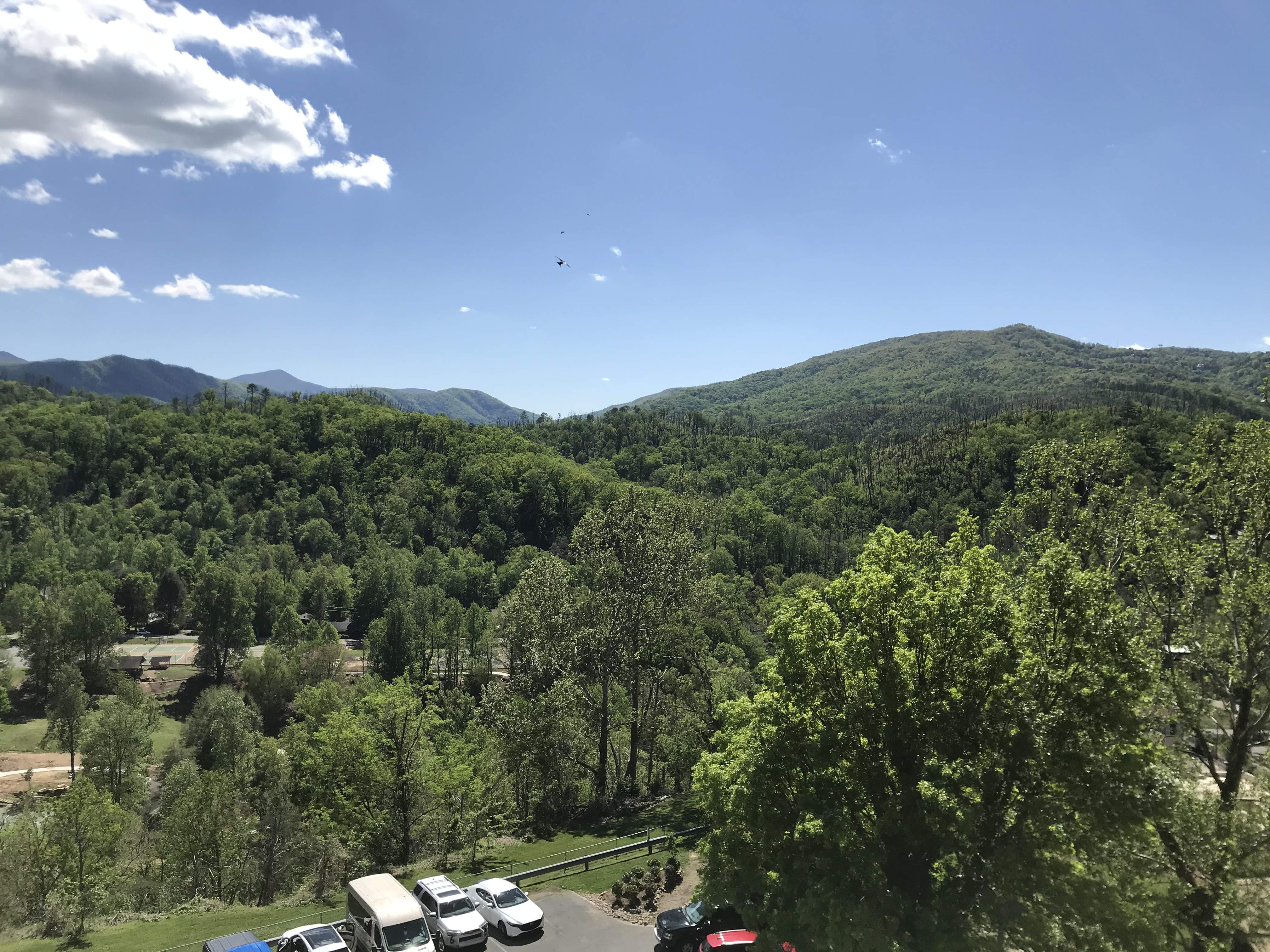 42127E3F-DC0A-4F56-B750-70DF4623AB3F.jpeg