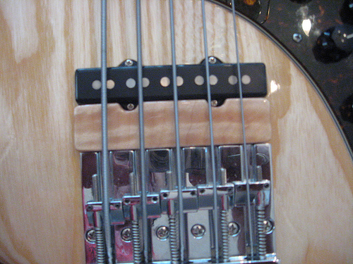 4254419703_1dea4db923.jpg