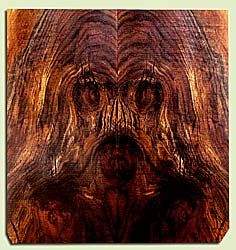 43353-small_1.jpg