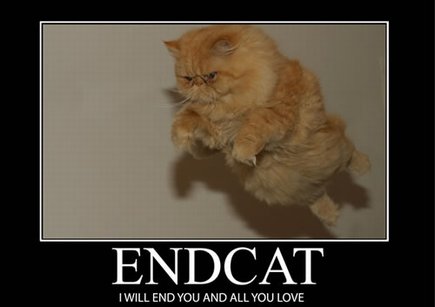 435_farkcatendcatch1.jpg