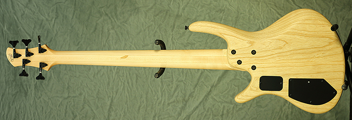 4372-BACK.jpg